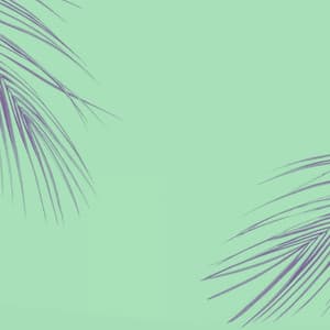 Music for Study Shapes - New York Jazz Bar