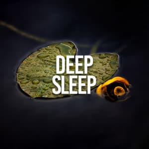 Deep Sleep - Rainforest Sounds