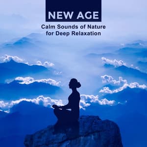 New Age: Calm Sounds of Nature for Deep Relaxation, Spirituality & Music for Mental Health, Sleep & Reiki Zen Meditation - Garden Music Academy