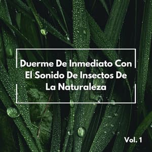 Duerme De Inmediato Con El Sonido De Insectos De La Naturaleza Vol. 1 - Vibraciones de la Naturaleza