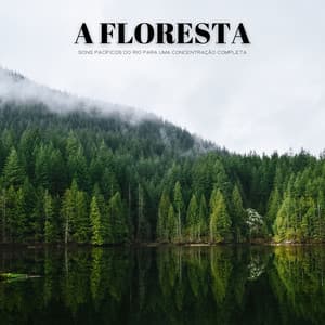 A Floresta: Sons Pacíficos Do Rio Para Uma Concentração Completa - Música de Relaxamento No Spa