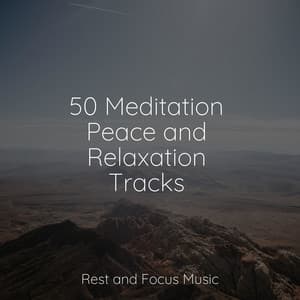 50 Meditation Peace and Relaxation Tracks - Deep Focus