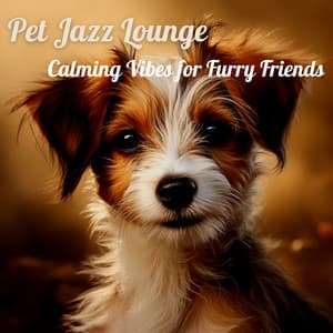 Pet Jazz Lounge: Calming Vibes for Furry Friends - Dogs Jazz