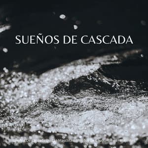 Sueños De Cascada De Las Mascotas: Sonidos De Chaparrones Relajantes - Sonidos de agua dulce