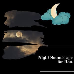 Night Soundscape for Rest - Night Nature Sounds