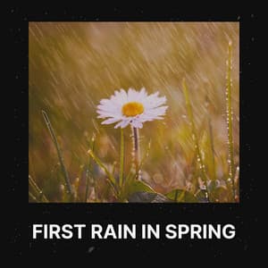 First Rain in Spring - Rain is my Life