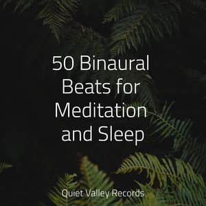 50 Binaural Beats for Meditation and Sleep - Ambiente