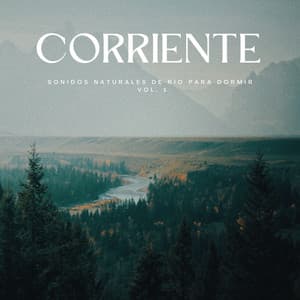 Corriente: Sonidos Naturales De Río Para Dormir Vol. 1 - Sonido del río para dormir