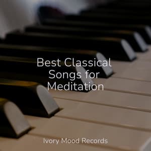 Best Classical Songs for Meditation - Ivory Mood