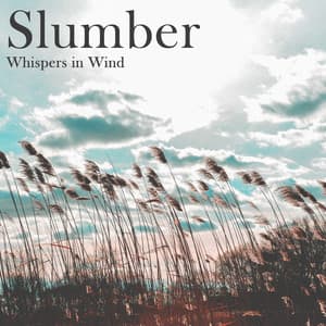 Slumber: Whispers in Wind - Nature Dreaming, Calm Zen, Feeling of Rain, Instant Peace Meditation, Music for Deep Sleep, Distress, Sleepy Drops - Abundant Nature Zen