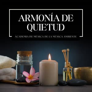 Armonía de Quietud: Música Relajante de Spa - Academia de Música de la Música Ambiente