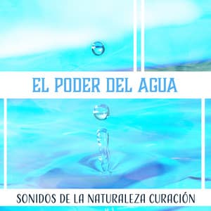 El Poder del Agua: Sonidos de la Naturaleza Curación - Ruído Branco Academia De Música