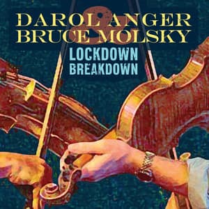 Lockdown Breakdown - Bruce Molsky