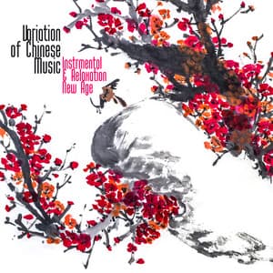 Variation of Chinese Music, Instrmental & Relaxation New Age - Feng Shui Music Sanctuary
