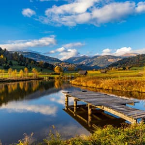 Calming Reflections: Music for Gentle Focus - Forest Soundscape