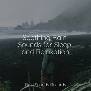 Soothing Rain Sounds for Sleep and Relaxation - Anxiety Relief