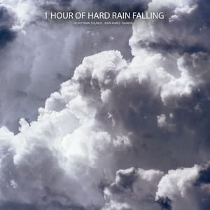 1 Hour of Hard Rain Falling - Heavy Rain Sounds