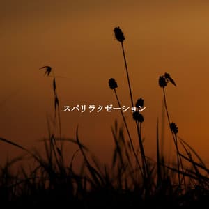 スパリラクゼーション - Restaurante de Musica de Lujo