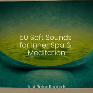 50 Soft Sounds for Inner Spa & Meditation - Bedtime Lullabies