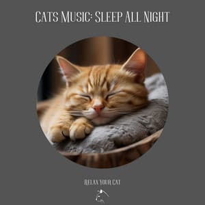 Cats Music: Sleep All Night - Relax Your Cat