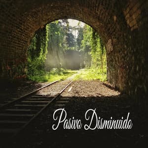 Pasivo Disminuido - Música Relajante
