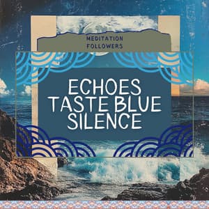Echoes Taste Blue Silence - Meditation Followers