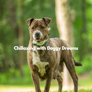 Chillaxing with Doggy Dreams - Sleeptime for Dogs