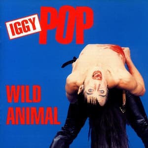 Wild Animal - Iggy Pop