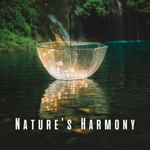 Nature's Harmony: Relaxation with Loon Songs and Heavy Rain - Baltic Nature Sounds