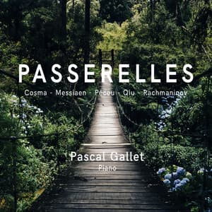 PasserelleS - Pascal Gallet