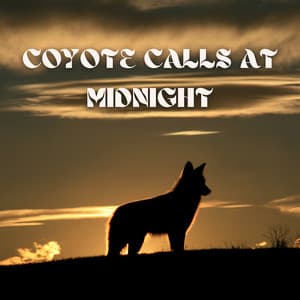 Coyote Calls at Midnight - Two Seconds to Wild West