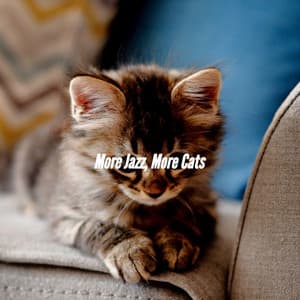 More Jazz, More Cats - Musica de Jazz para Hoteles
