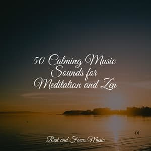 50 Calming Music Sounds for Meditation and Zen - Música relaxante