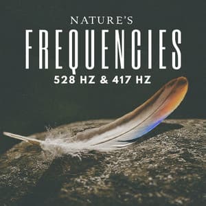 Natures Frequencies 528hz & 417hz - Natural Frequencies