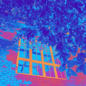 Unique Music for Mythical Energies - Piano Bossa Nova Duo - Autumn Jazz Ambient