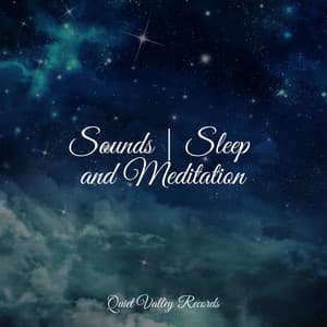 Sounds | Sleep and Meditation - Unforgettable Paradise SPA Music Academy