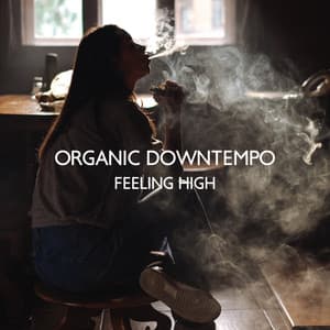Organic Downtempo: Feeling High, Deep Vibes for Chilling - Electronic Music Zone