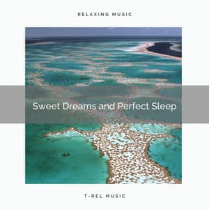 ! ! ! ! ! ! Sweet Dreams and Perfect Sleep - Calm Sea Sounds