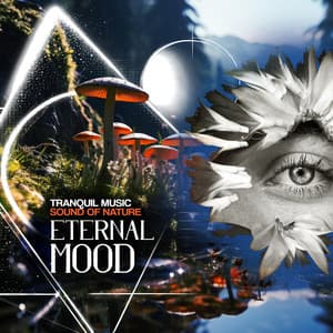 Eternal Mood - Tranquil Music Sound of Nature