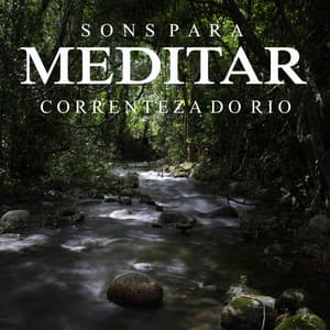 Sons para Meditar: Correnteza do Rio - Oasis Relaxamento