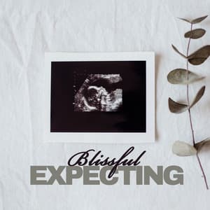 Blissful Expecting - Paula New