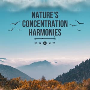 Piano Focus: Nature's Concentration Harmonies - Pianopassion