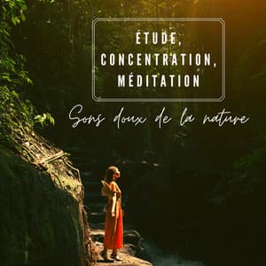 Étude, concentration, méditation: Sons doux de la nature - Oasis Des Bruits Naturels