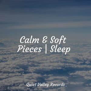 Calm & Soft Pieces | Sleep - Nature Ambience