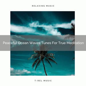 Peaceful Ocean Waves Tunes For True Meditation - Instant Relax