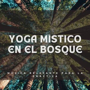 Yoga Místico en el Bosque: Música Relajante para la Práctica - Empollón de la naturaleza