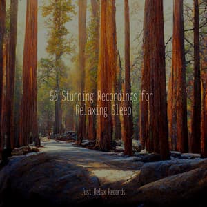 50 Stunning Recordings for Relaxing Sleep - Musica Relajante