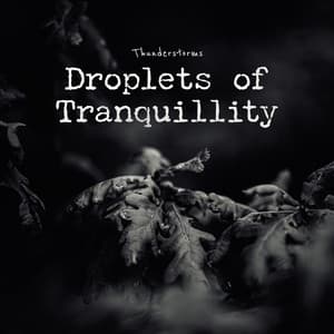 Droplets of Tranquillity - Thunderstorms