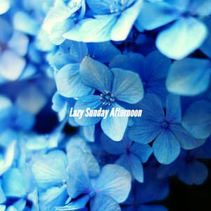 Lazy Sunday Afternoon - Coffee Table Jazz Romance