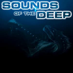 Sounds of the Deep - Sounds of the Deep